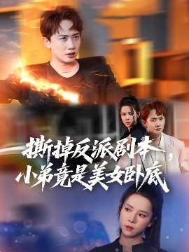 精品高清少妇视频在线看