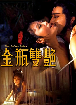 午夜视频账号密码