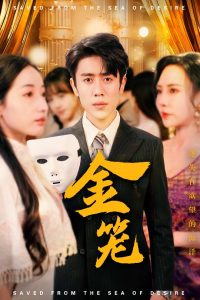 欧美唱歌合集视频在线