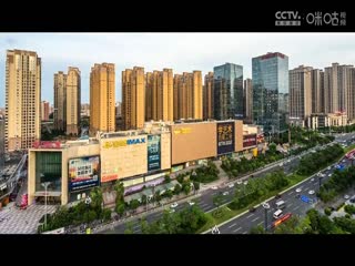 國際大體聯(lián)足球世界杯 波爾多大學vs悉尼大學 20231031