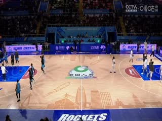 精品郁金香视频在线播放