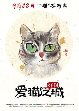 国产直拍在线观看福利片