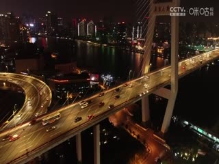 无码种子公众号