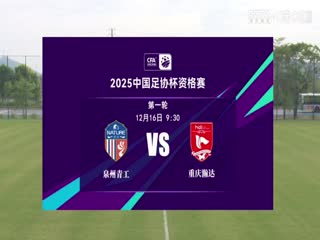 精品一区二区三区AV在线播放