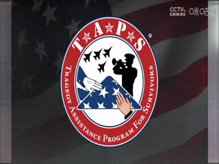 日韩AV电影在线观看免费无毒