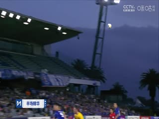日本午夜播放器在线视频