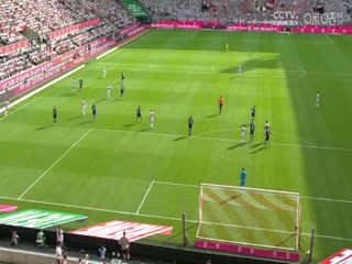 高清免费爱做网站国产