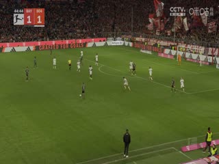 国产欧美日韩免费观看
