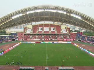 国产精品痴视频