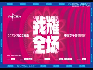 技術(shù)宅男的視頻