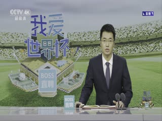 荷蘭vs美國